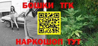 амф Дубна