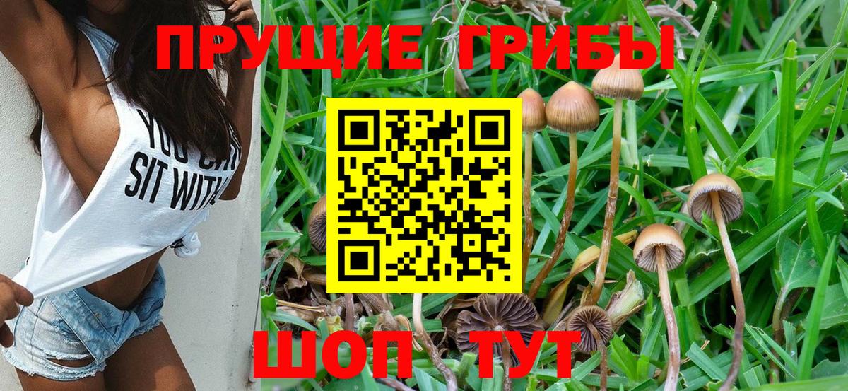 Мытищи  Псилоцибиновые грибы мицелий  Вход с VPN 