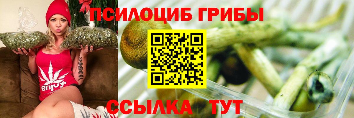 Псилоцибиновые грибы прущие грибы Мытищи